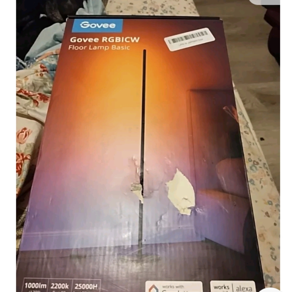 Govee smart color changing lamp